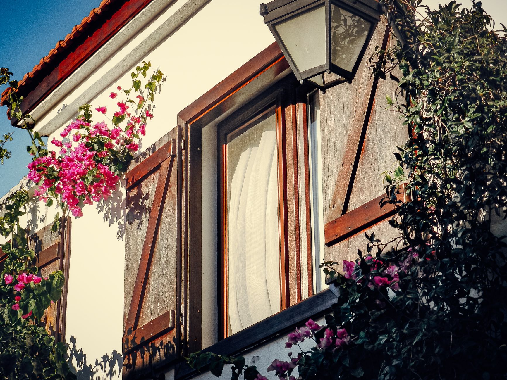 A picturesque wooden window adorned with vibrant bougainvillea flowers under a clear sky in Carlsbad, CA